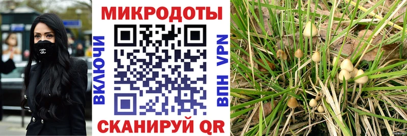 где можно купить наркотик  Черемхово  Псилоцибиновые грибы MAGIC MUSHROOMS 